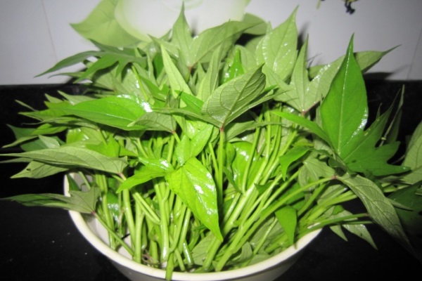 Loại rau trị táo bón ở trẻ