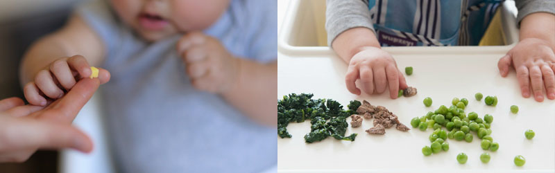 Bé ăn dặm bốc nhón