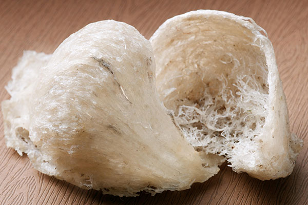 Yến sào cho trẻ