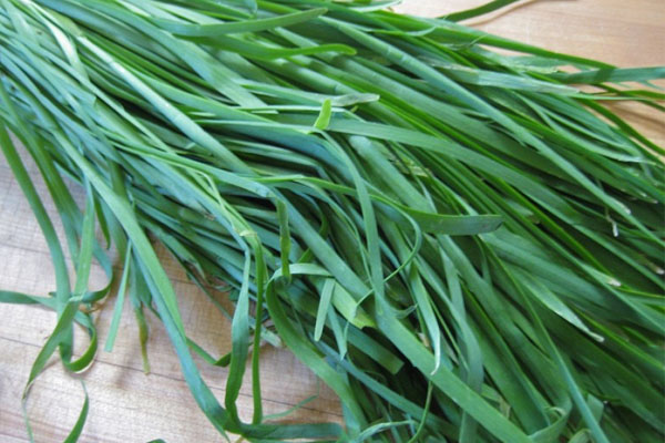 loại rau quả giúp não bộ bé phát triển vượt trội