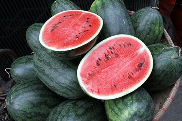 Bảo quản dưa hấu