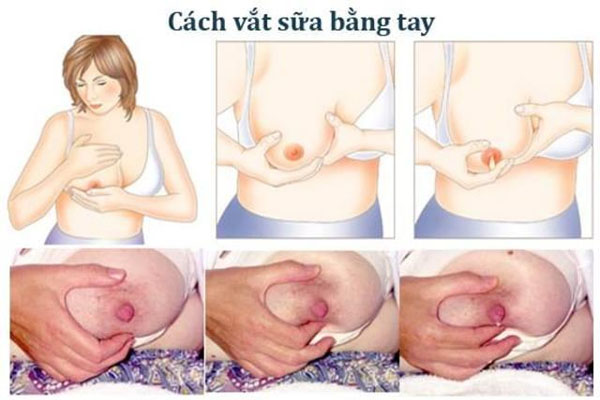 vắt sữa mẹ bằng tay